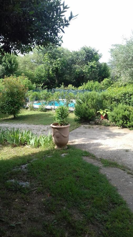 Cap Au Sud Sweet Home Nîmes Eksteriør billede
