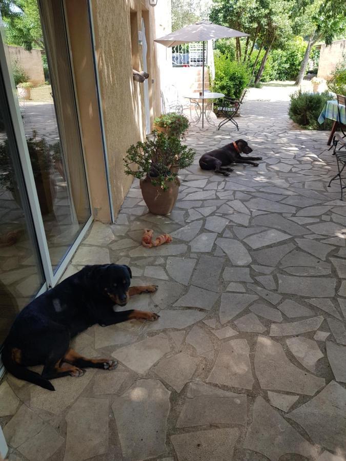 Cap Au Sud Sweet Home Nîmes Eksteriør billede