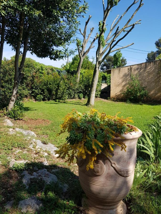 Cap Au Sud Sweet Home Nîmes Eksteriør billede
