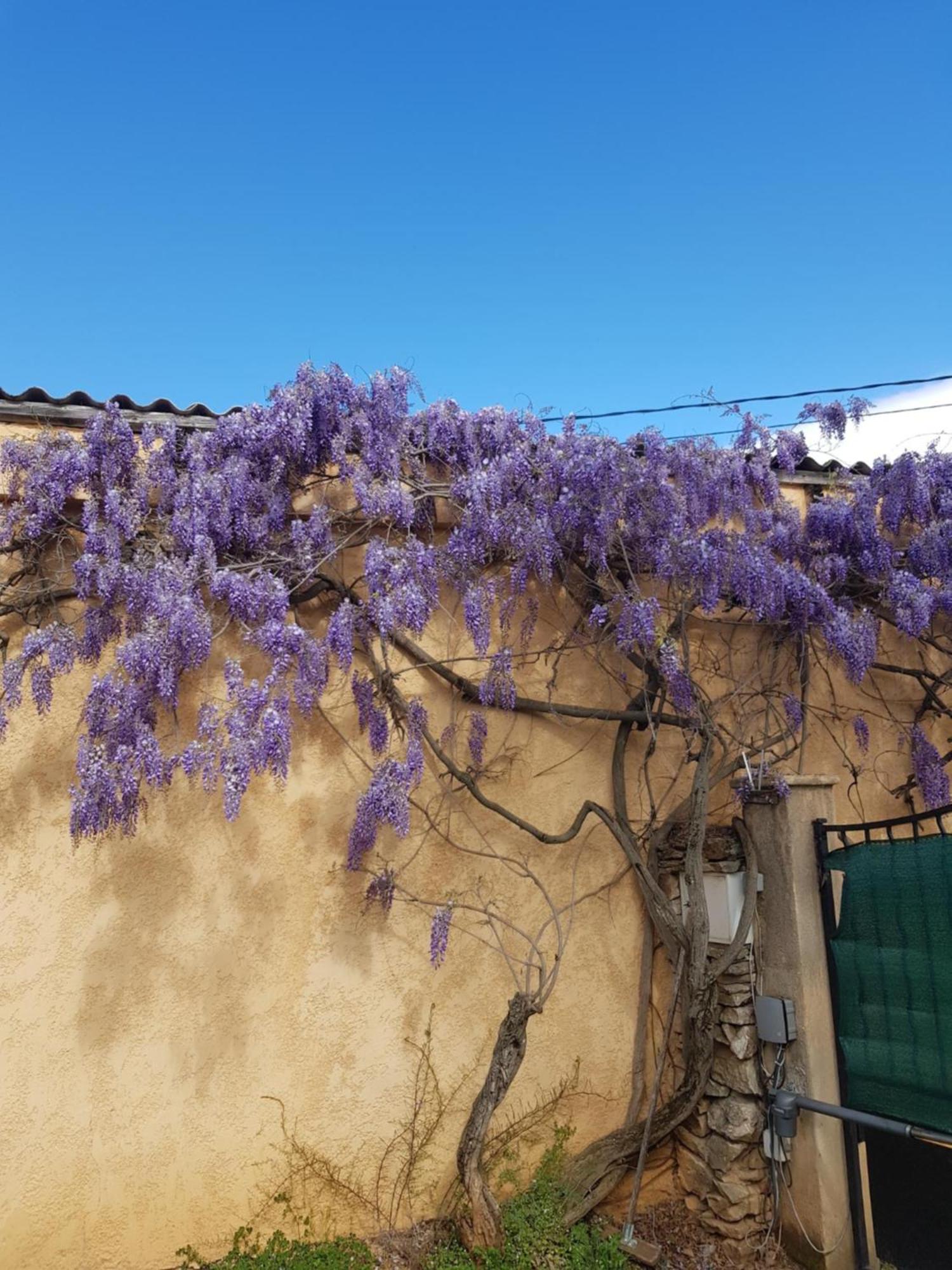 Cap Au Sud Sweet Home Nîmes Eksteriør billede