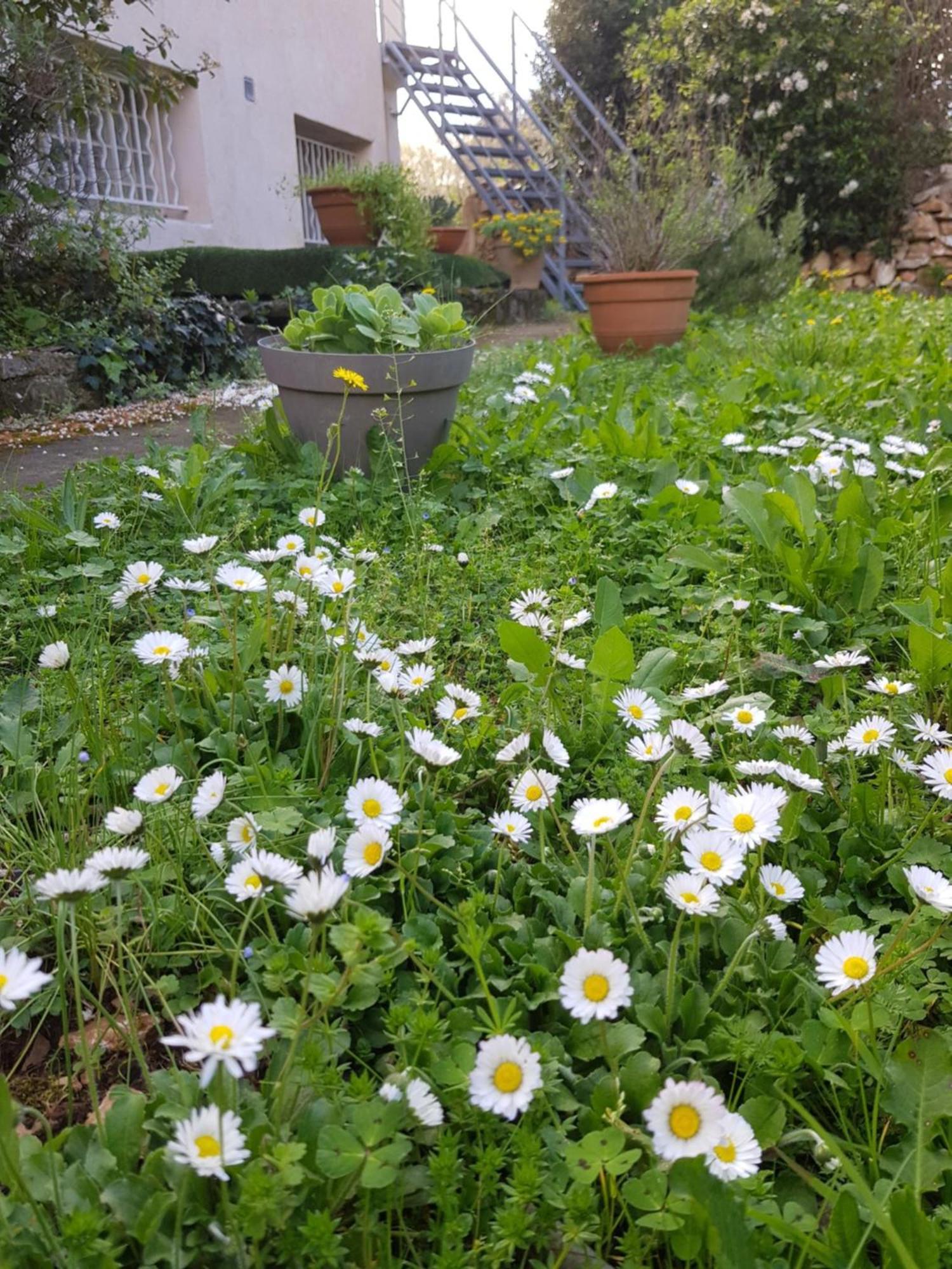 Cap Au Sud Sweet Home Nîmes Eksteriør billede