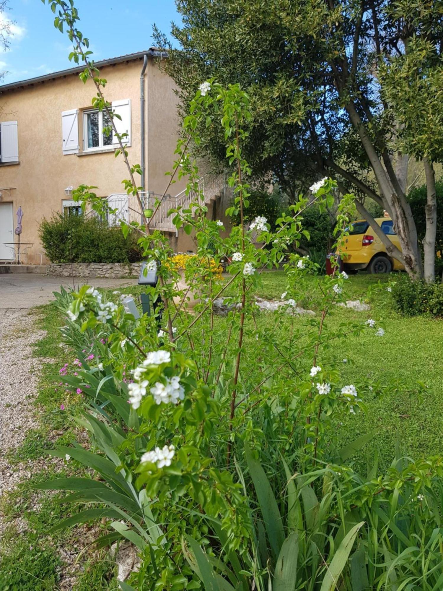 Cap Au Sud Sweet Home Nîmes Eksteriør billede