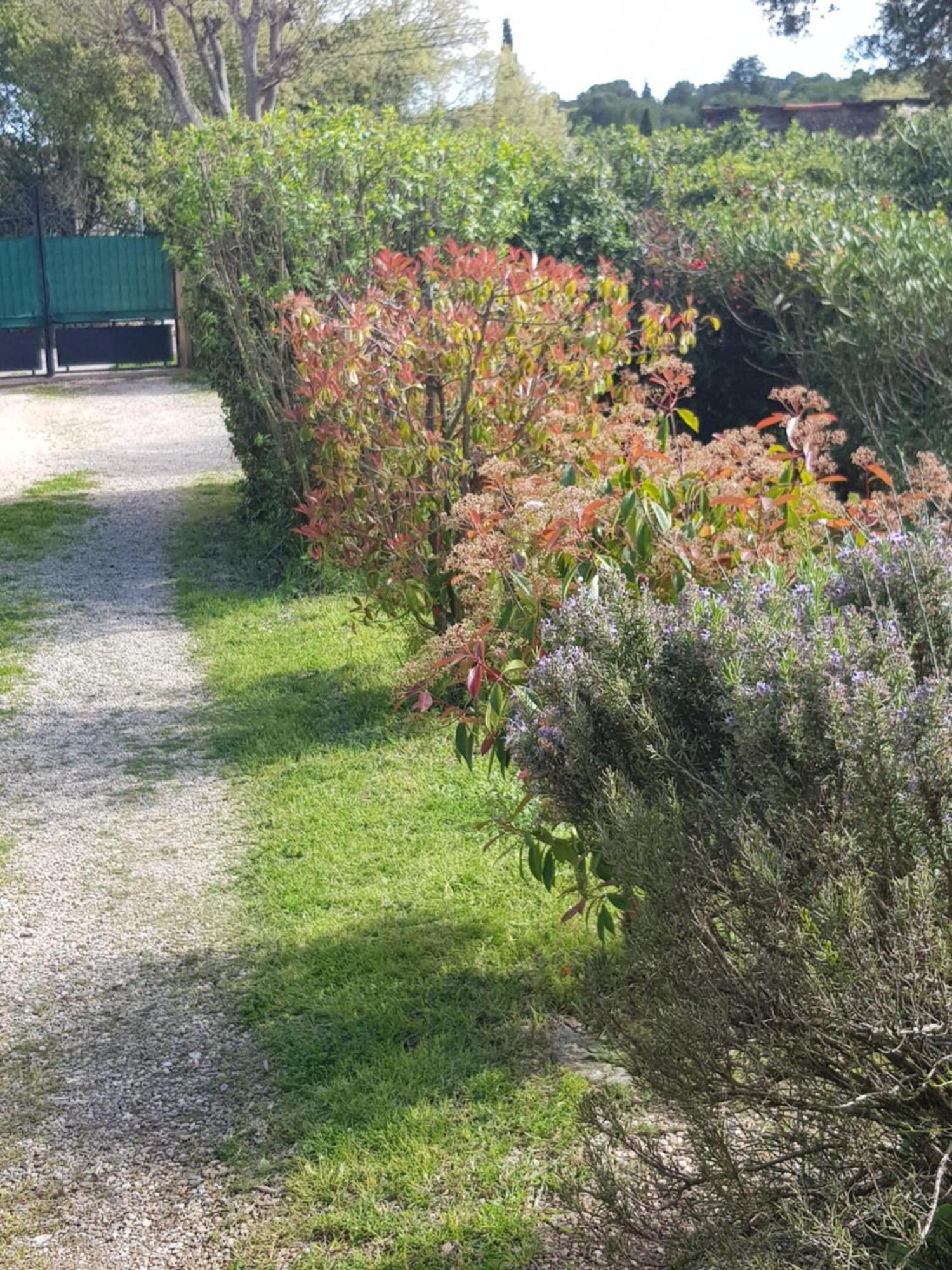 Cap Au Sud Sweet Home Nîmes Eksteriør billede