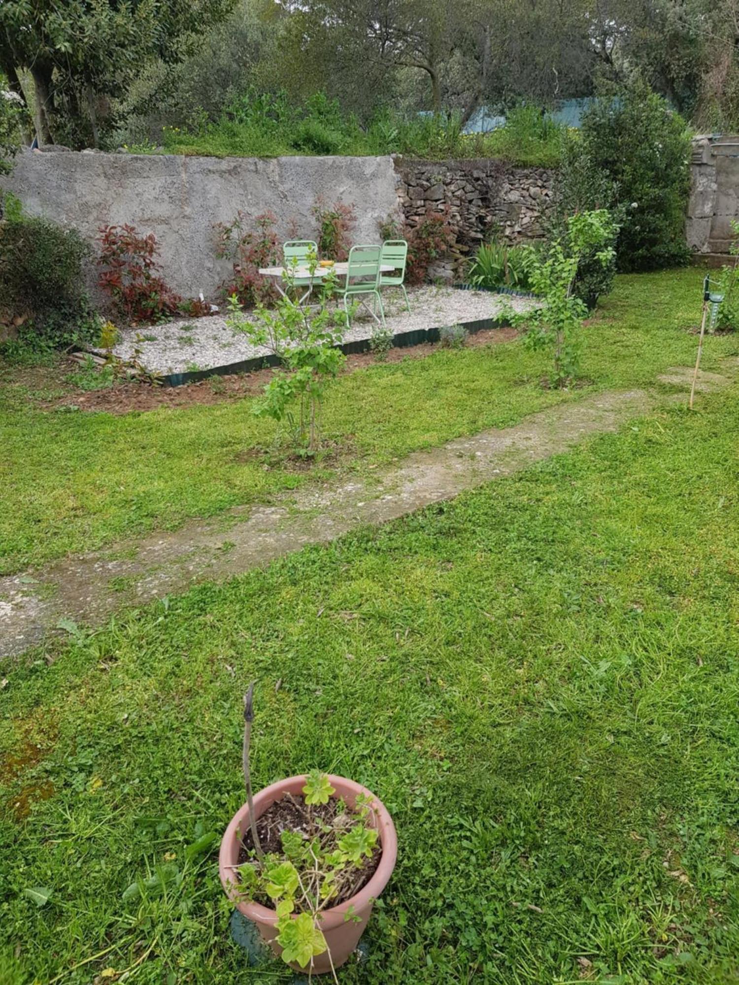 Cap Au Sud Sweet Home Nîmes Eksteriør billede