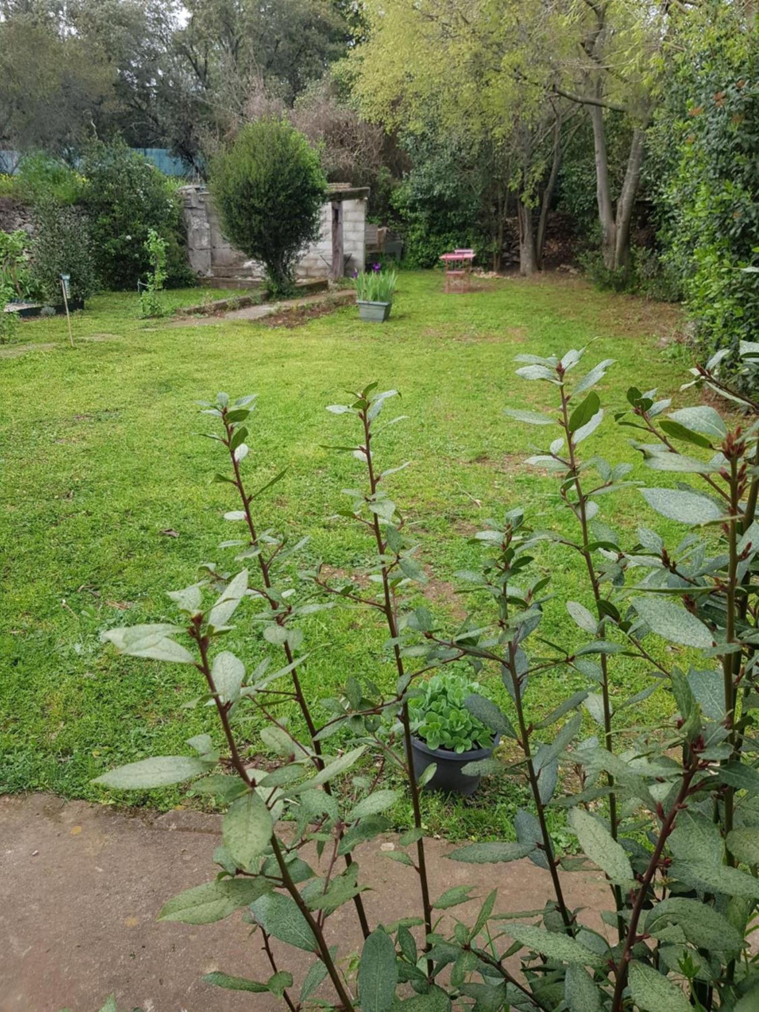 Cap Au Sud Sweet Home Nîmes Eksteriør billede