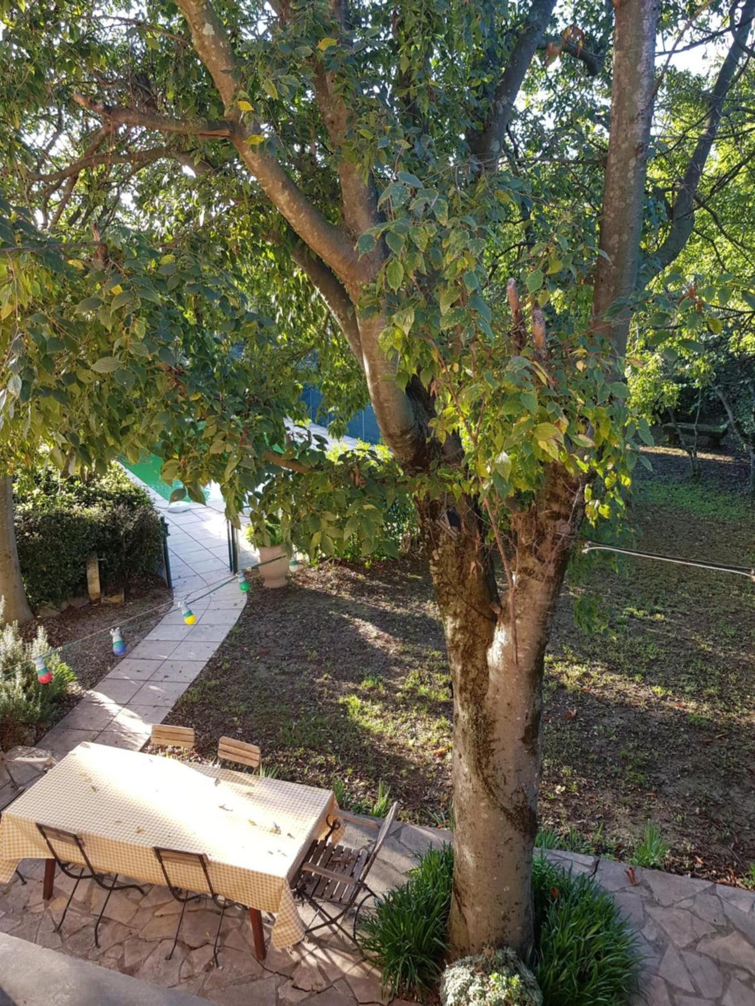 Cap Au Sud Sweet Home Nîmes Eksteriør billede