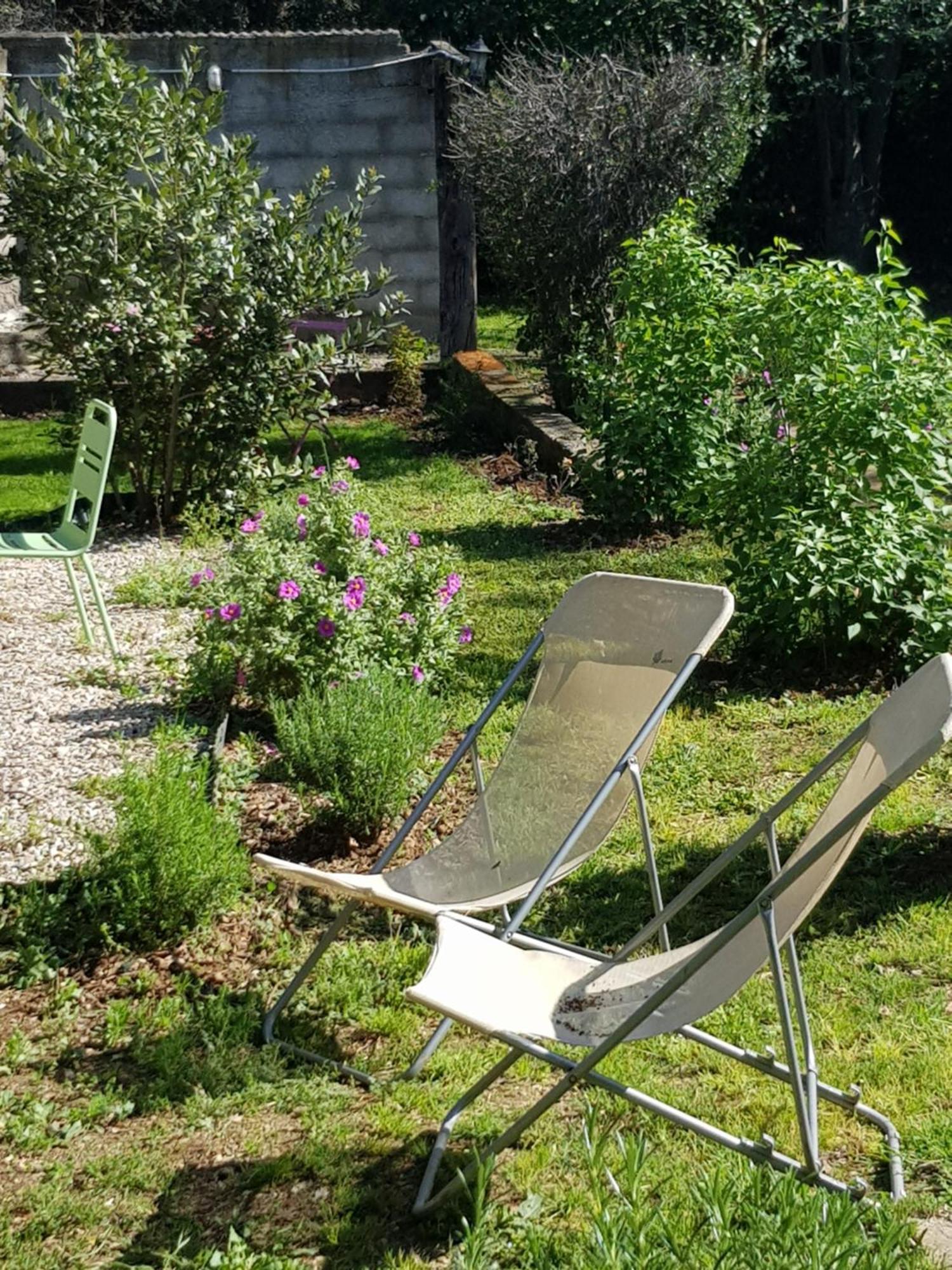 Cap Au Sud Sweet Home Nîmes Eksteriør billede