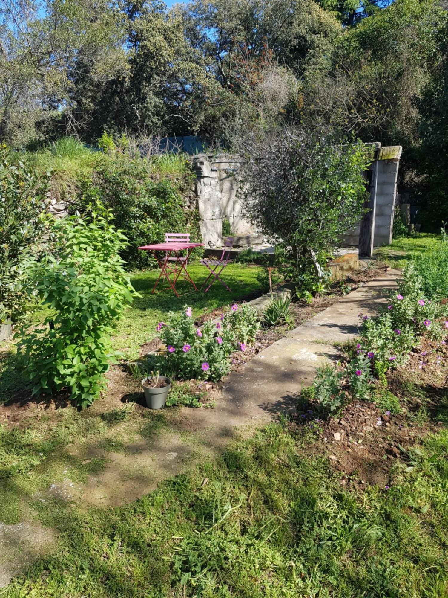 Cap Au Sud Sweet Home Nîmes Eksteriør billede